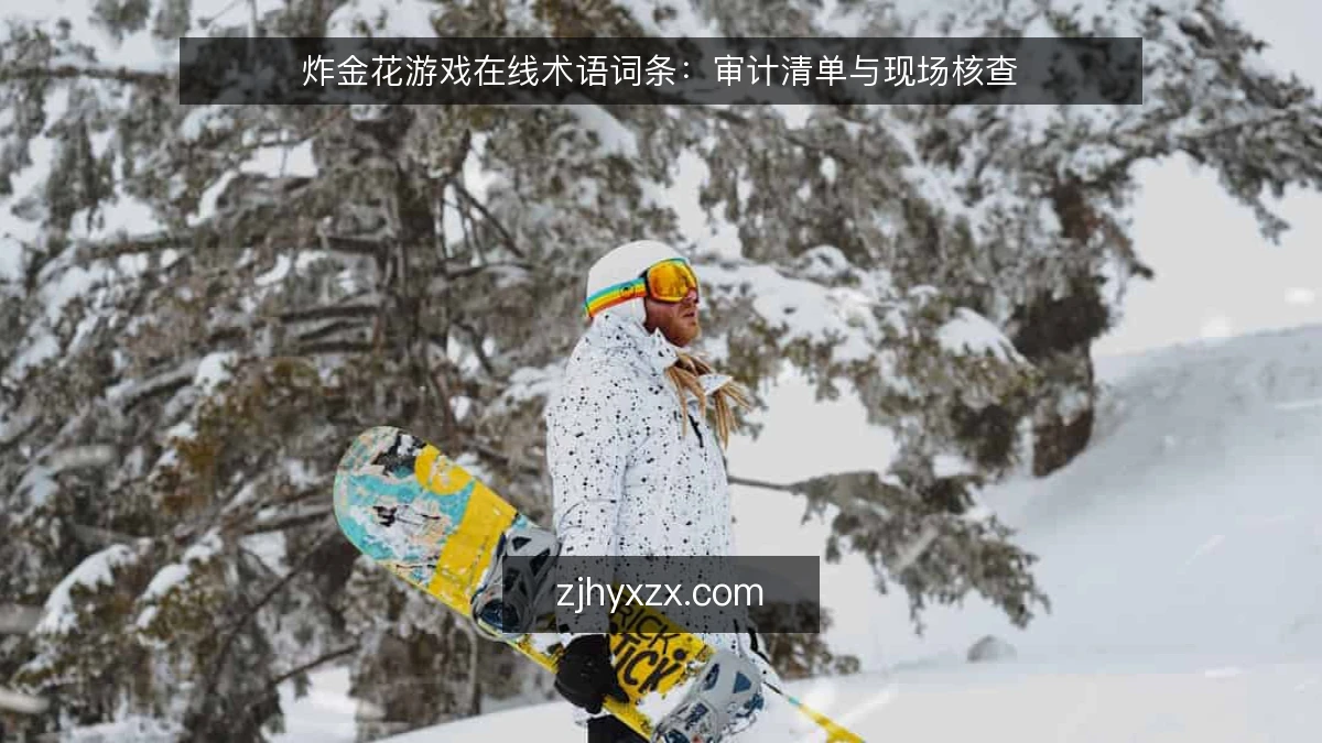 炸金花游戏在线术语词条:审计清单与现场核查